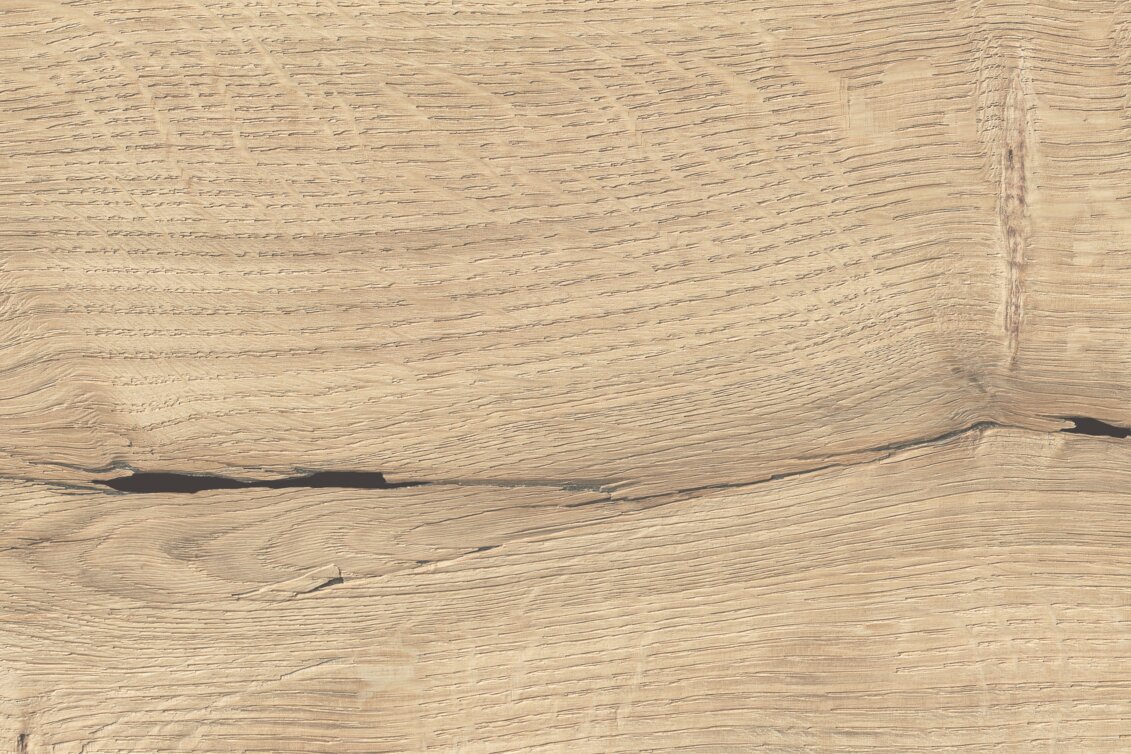 detail dekoru K2413 AN DUB CASTOR